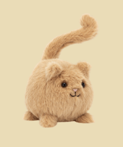 Kitten Caboodle Ginger