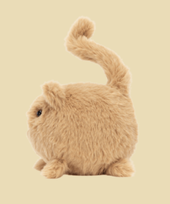 Kitten Caboodle Ginger