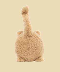 Kitten Caboodle Ginger