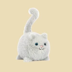 Kitten Caboodle