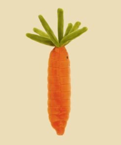 Vivacious Vegetable Carrot