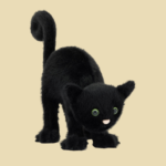 spookipaws-cat