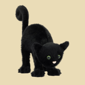 spookipaws-cat