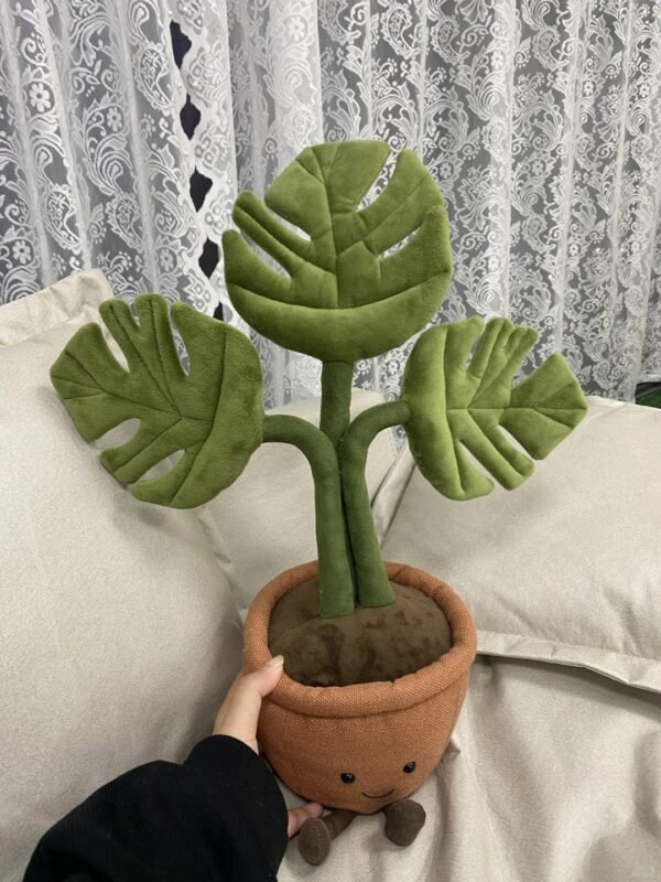 Image #1 from Emma Evans