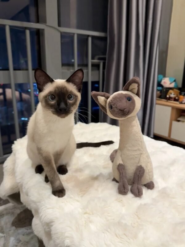 Image #1 from Amber Baker