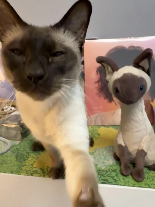 Image #1 from Heather Rogers