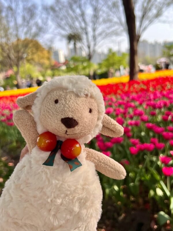 Image #1 from Denise Cooper