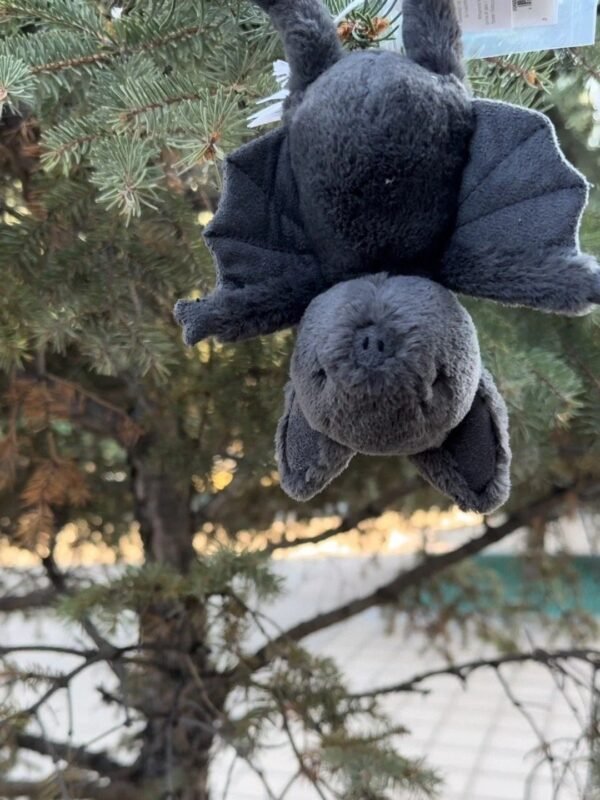 Image #1 from Elaine Hughes