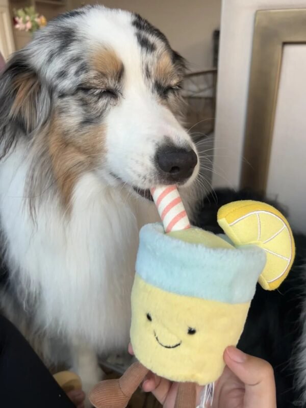 Image #1 from Cheryl Scott