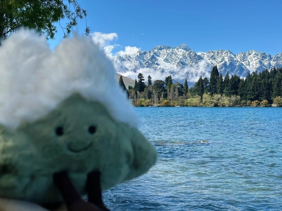 Image #1 from Helen Clarke