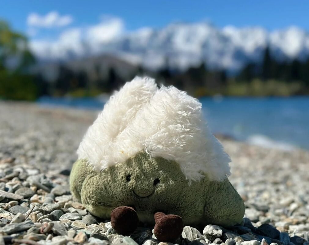 Image #1 from Tina Mitchell