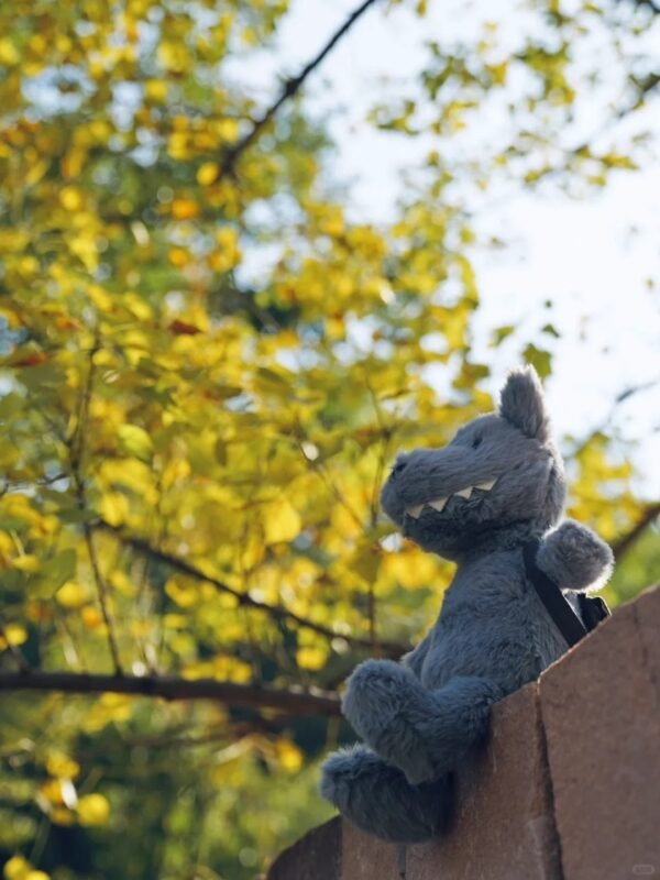 Image #1 from Tina Carter