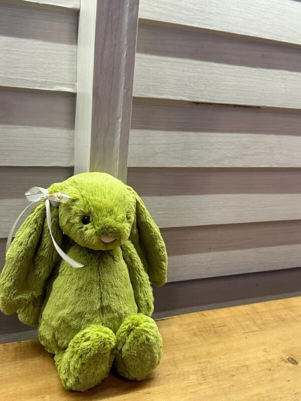 Image #1 from Lorraine Cook