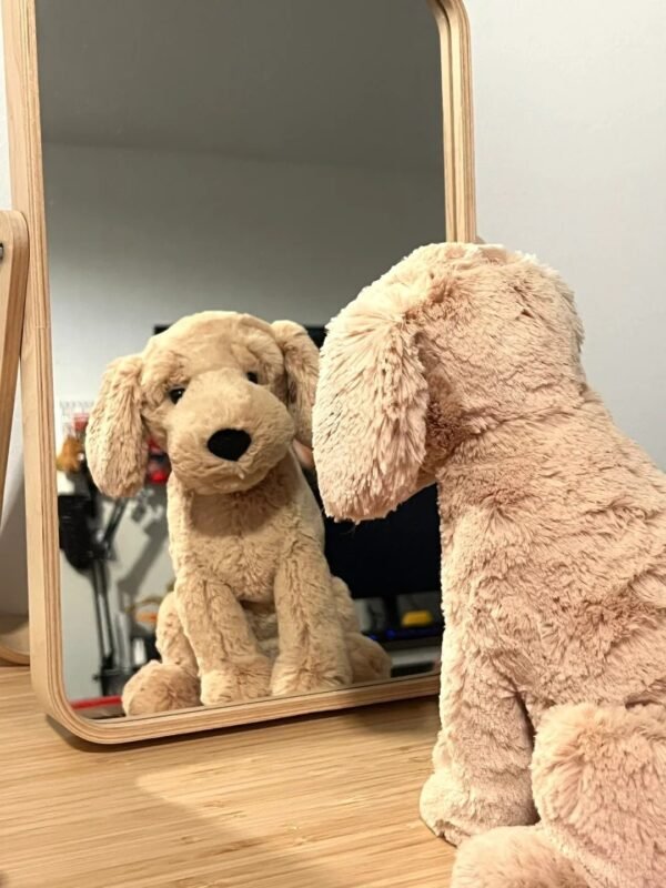 Image #1 from Anna Horvath