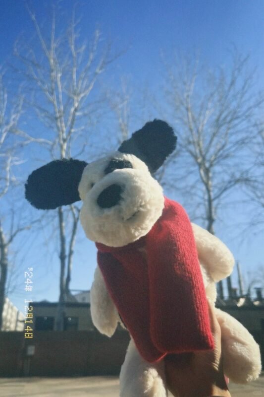 Image #1 from Rachel Bennett