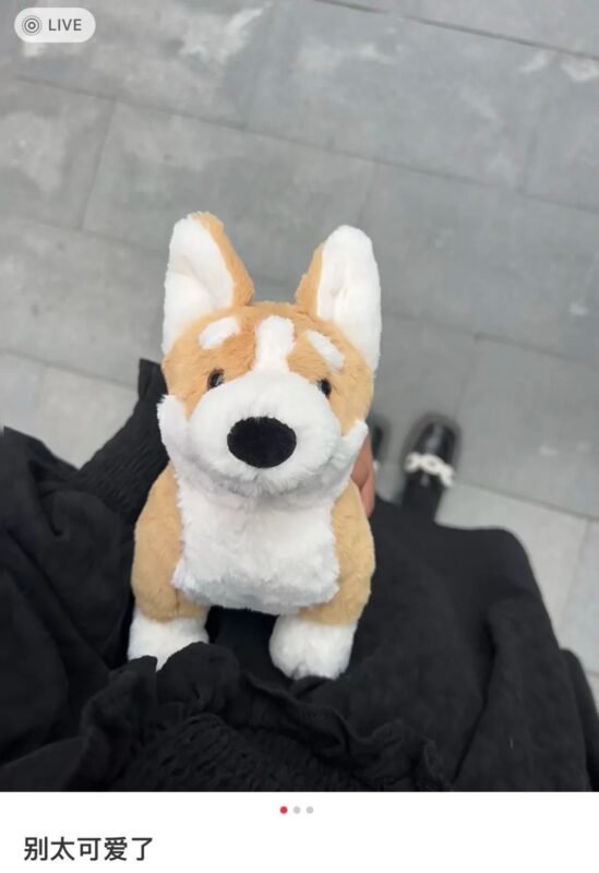 Image #1 from Joanna Gray