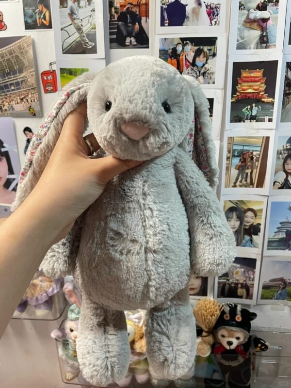 Image #1 from Donna Wright