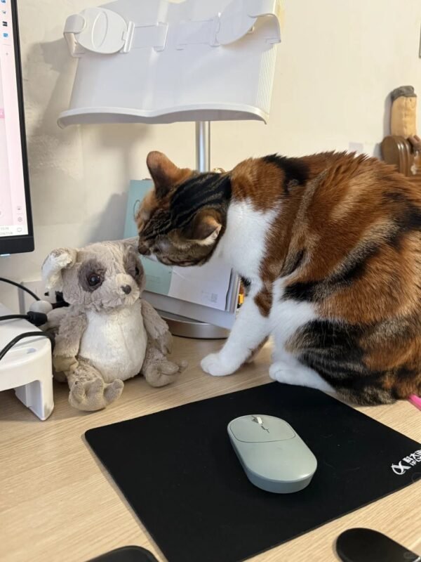 Image #1 from Heather Rogers