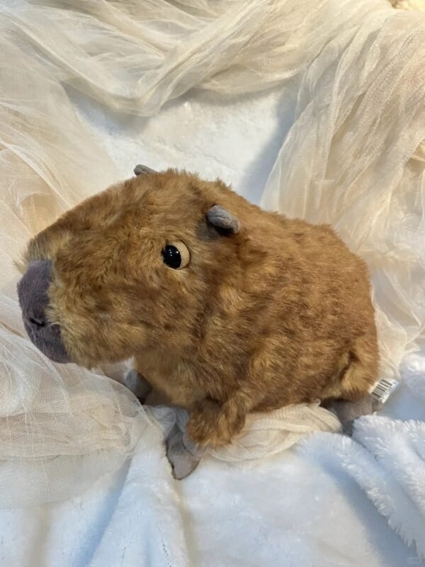 Image #1 from Laura Rogers