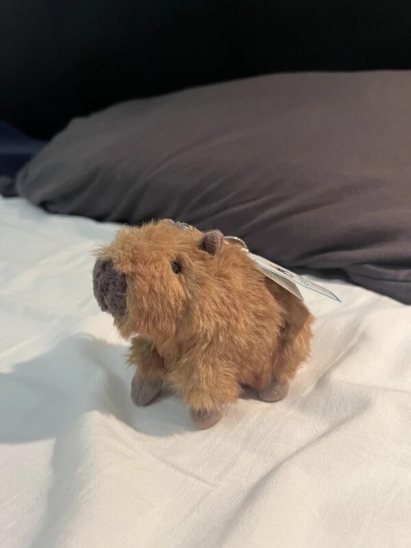 Image #1 from Elaine Rogers