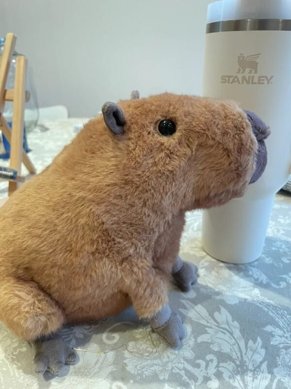 Image #1 from Ashley Ward