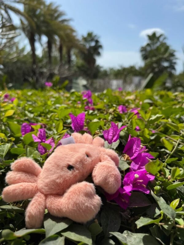 Image #1 from Amanda Morris