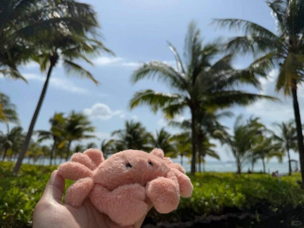 Image #1 from Xin Liu