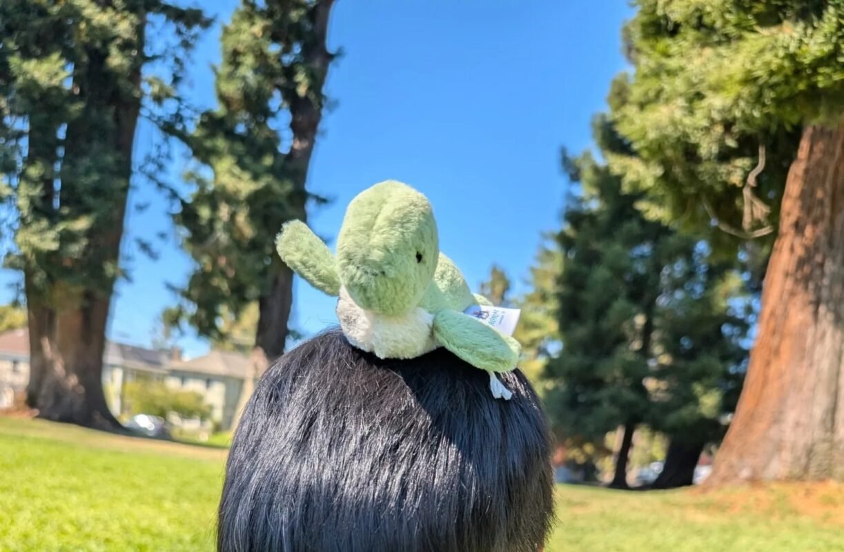 Image #1 from Elaine Wood