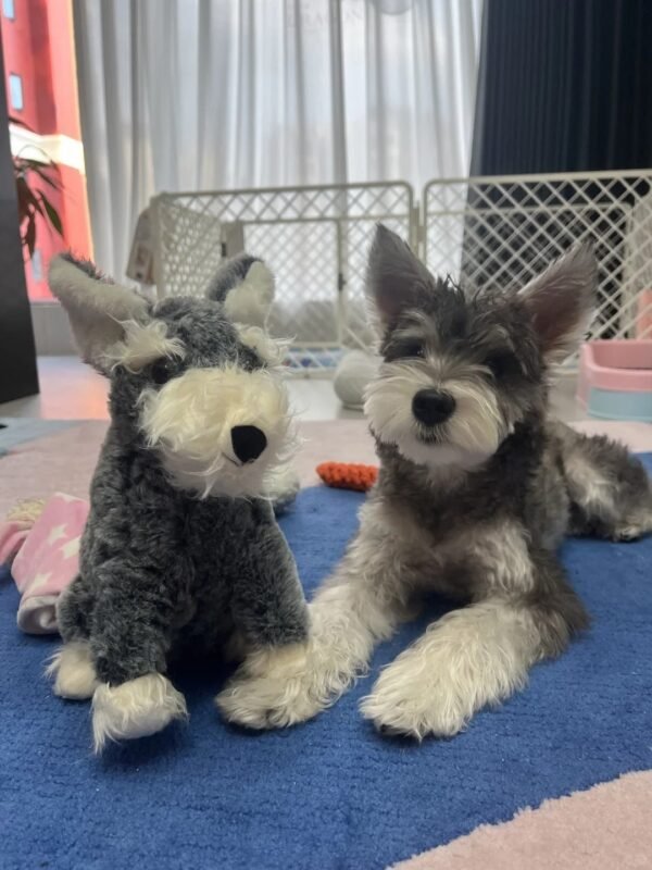 Image #1 from Donna Thomas