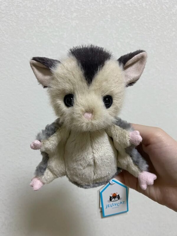 Image #1 from Karen Johnson