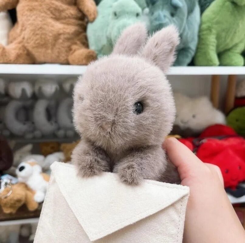 Image #1 from Rosa Silva