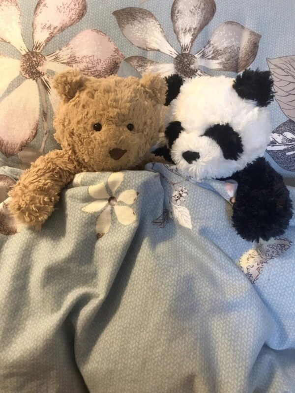 Image #1 from Nora Costa