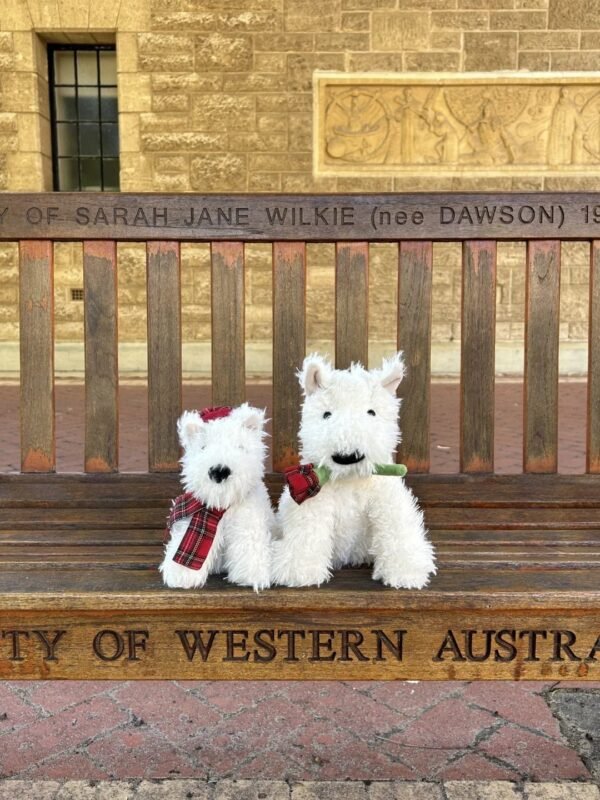 Image #1 from Gabriela Ortega