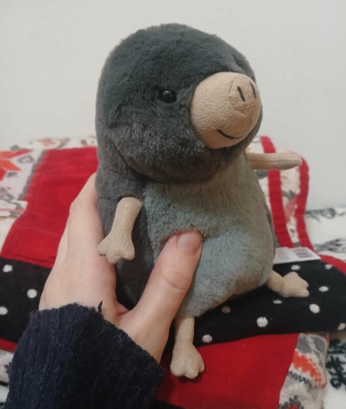 Image #1 from Soraya Mahmoud