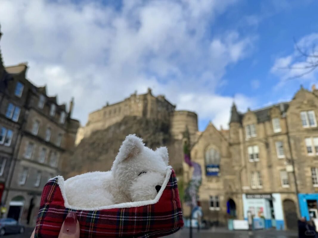 Image #1 from Erin Bailey