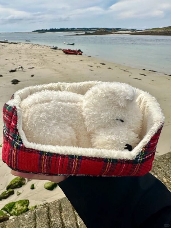 Image #1 from Xiu Ye