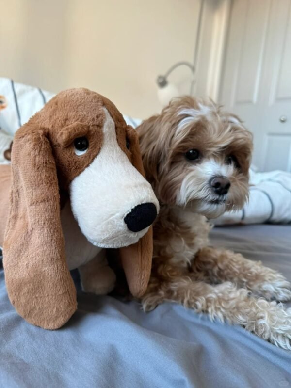 Image #1 from Amanda Cook