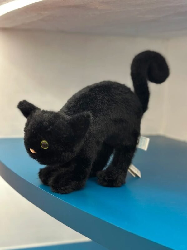 Image #1 from Amanda Cook