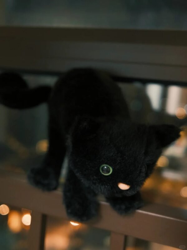 Image #1 from Julie Jones