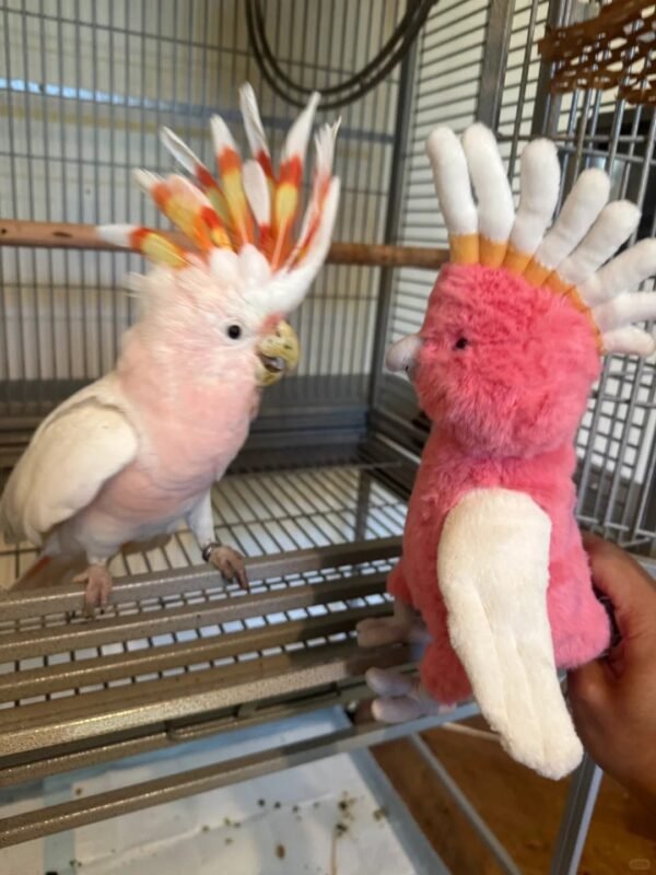 Image #1 from Laura Cook