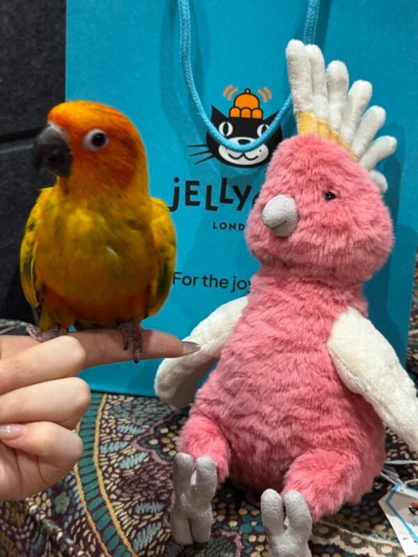 Image #1 from Paige Adams