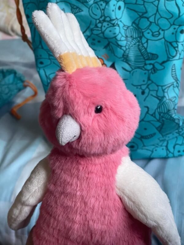 Image #1 from Cheryl Bell