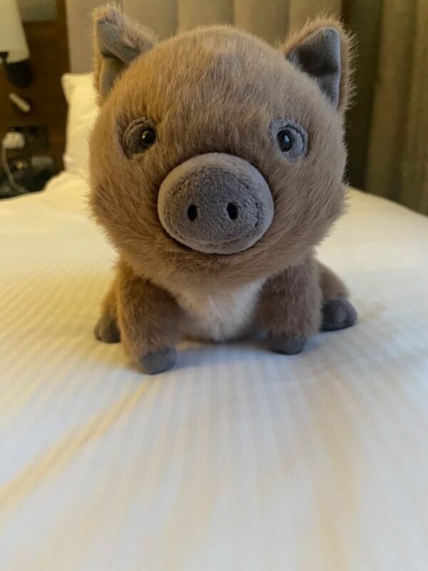 Image #1 from Sonia Scott