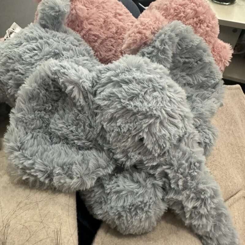 Image #1 from Lindsey Evans