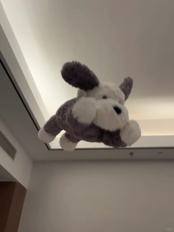 Image #1 from Joanna Young