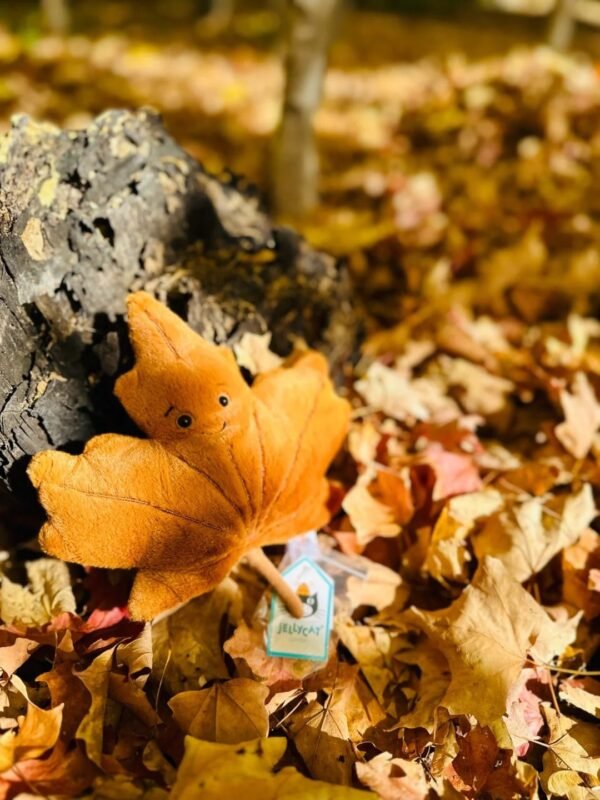 Image #1 from Nadia Garcia