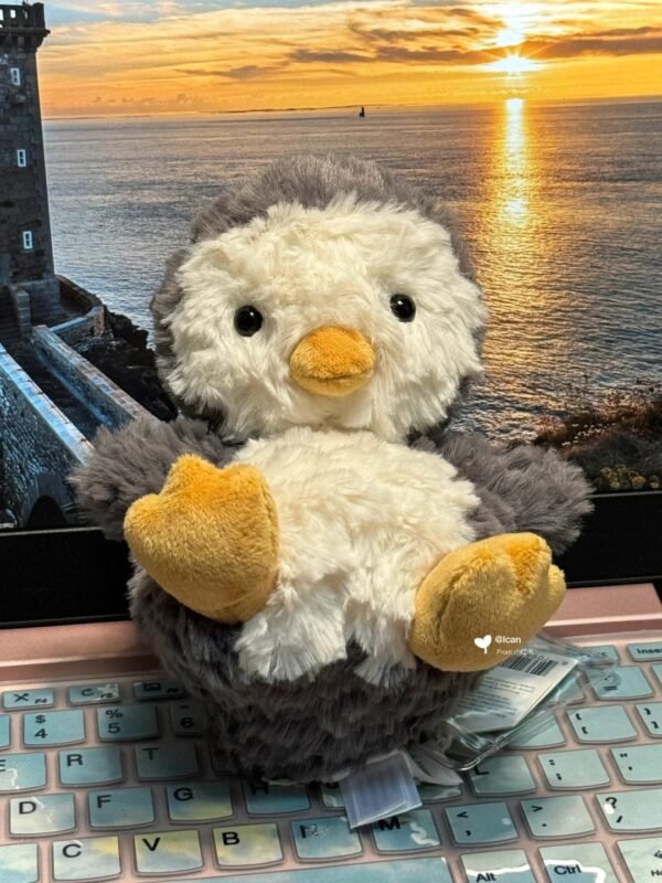 Image #1 from Angela Taylor